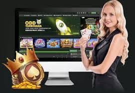 55 bets