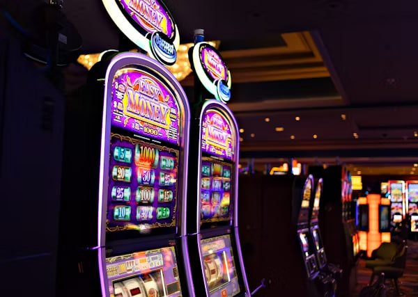 55 bets